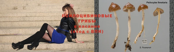 mdpv Арсеньев