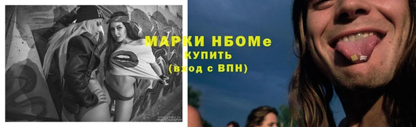 круглые Аркадак