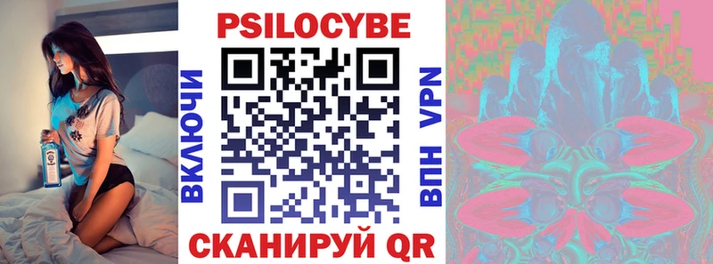 как найти закладки  Пущино  Псилоцибиновые грибы GOLDEN TEACHER 